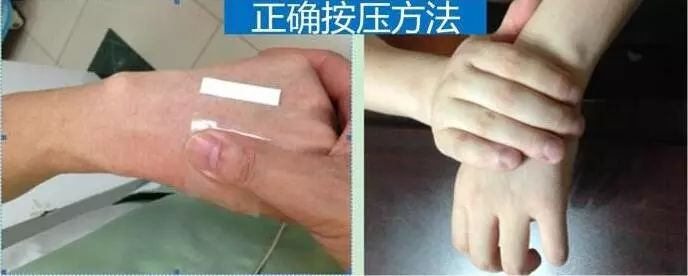 圖片1.png 圖片1.png