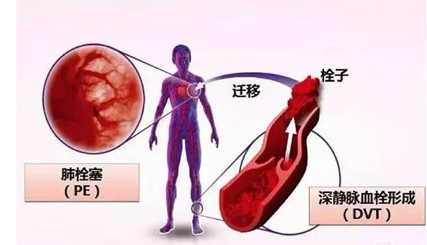 圖片3.png 圖片3.png