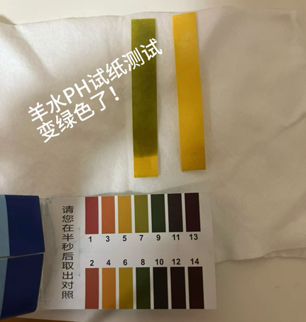 圖片2.png 圖片2.png